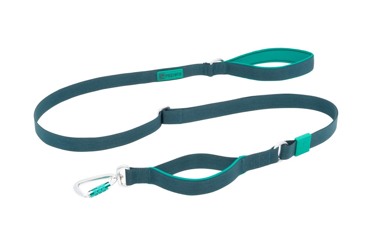RC Pet Products Stratus Leash - Deep Sea