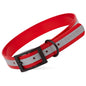 Biothane Translucent Reflective Dog Collar