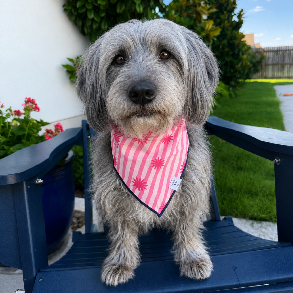 Poppy Reversible Bandana