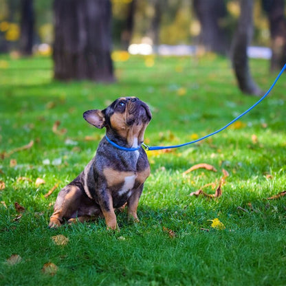 Soft Leather Round Dog Lead