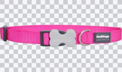 Buckle Bone Dog Collars - Classic (Solid)