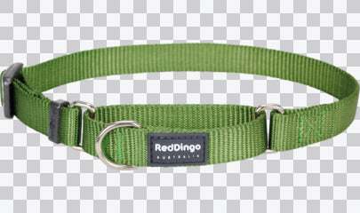 Martingale Dog Collars - Classic (Solid)
