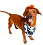 Cow Spot Bandana- Pack of 12
