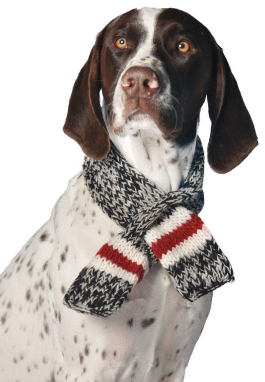 Chilly Dog Boyfriend Scarf on a brown and white spotted dog