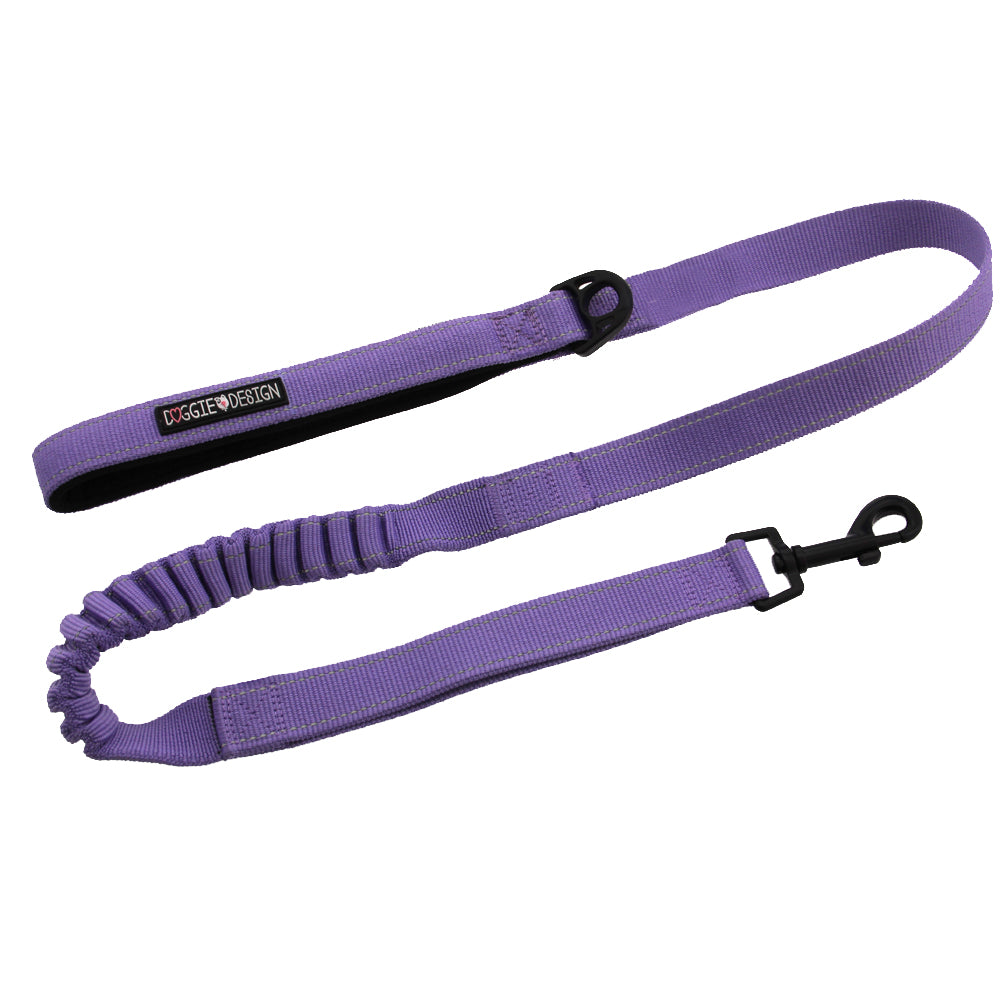 Paisley Purple