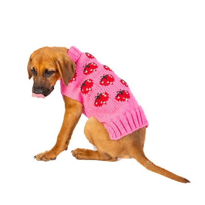 Strawberry Dog Sweater