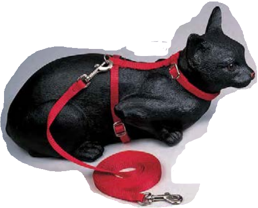 H-Style Cat Harness
