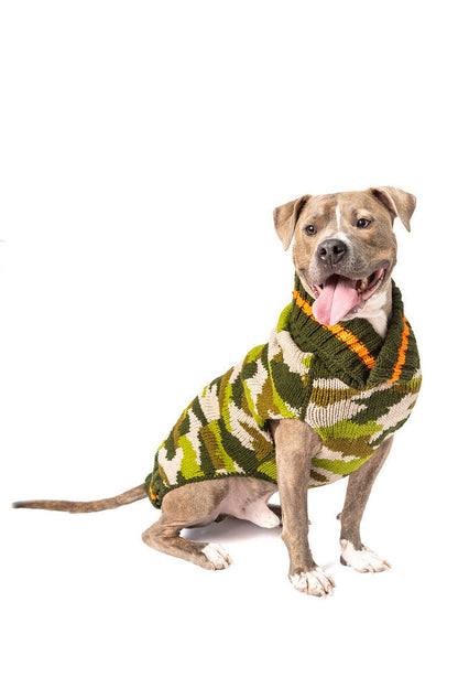 Pitbull dog wearing a green, beige, and orange camouflage knit sweater
