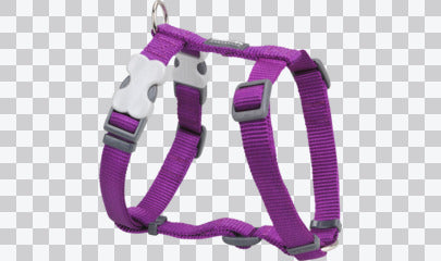 Dog Harness (H-Style) - Classic (Solid)