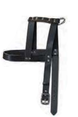 Nylon H-Style Dog Harness