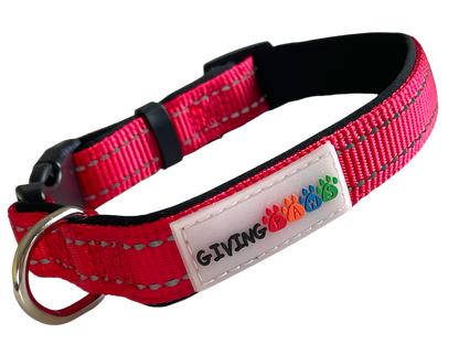 Neoprene Padded Nylon Dog Collar