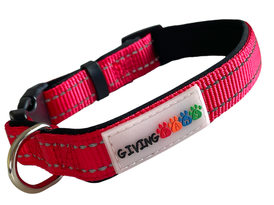 Neoprene Padded Nylon Dog Collar
