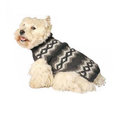 White dog wearing a grey and white patterned sweater