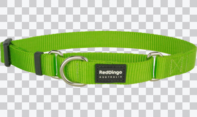 Martingale Dog Collars - Classic (Solid)