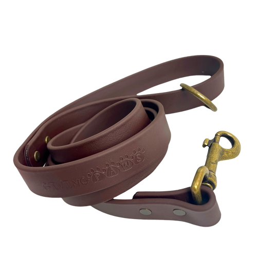 Vintage Vegan Leather Leash