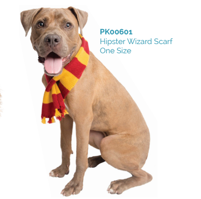 Hipster Wizard Scarf