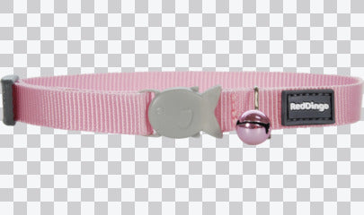 Cat Collars - Classic