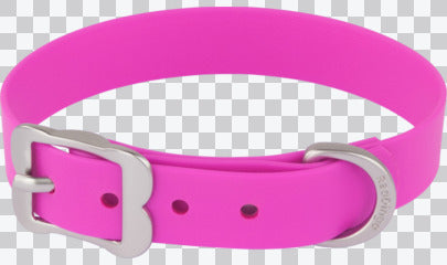 Vivid PVC Dog Collar