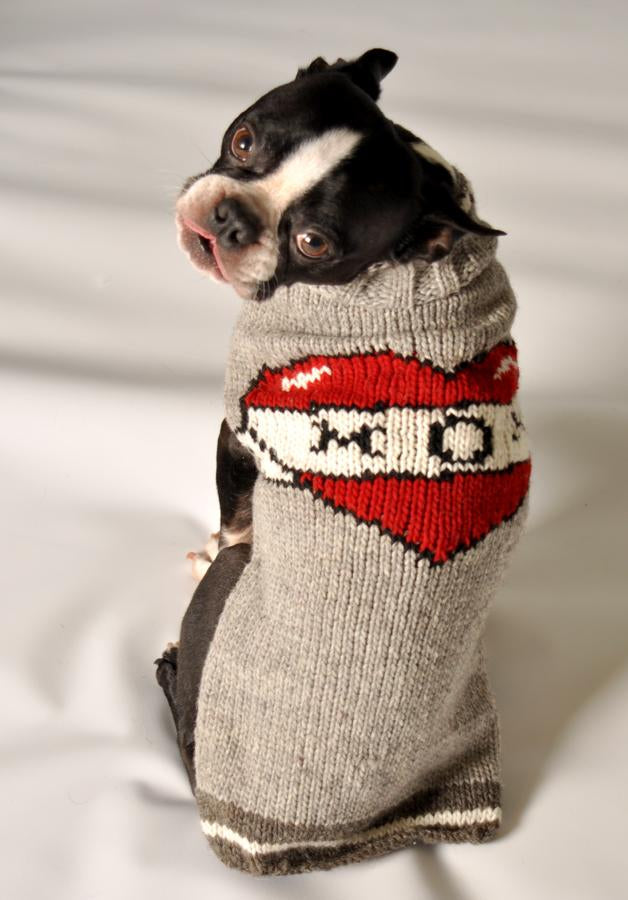 Boston Terrier wearing a grey sweater with a red and white heart design