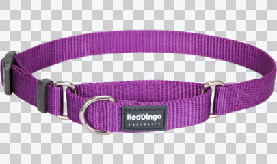 Martingale Dog Collars - Classic (Solid)