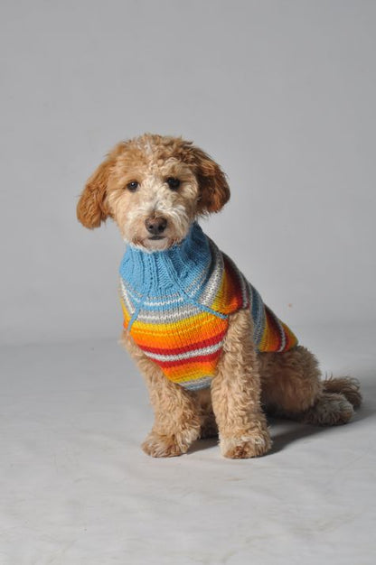 A small dog wearing a blue, orange, yellow, and white striped knitted sweater