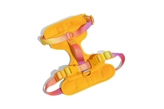 Kenna Dog Harness