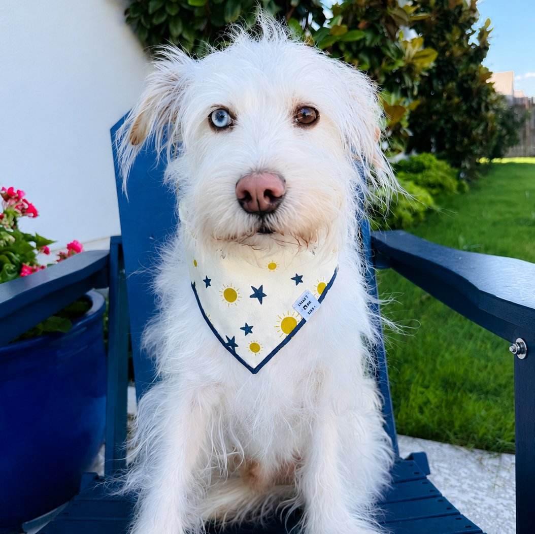 Sunny Reversible Bandana