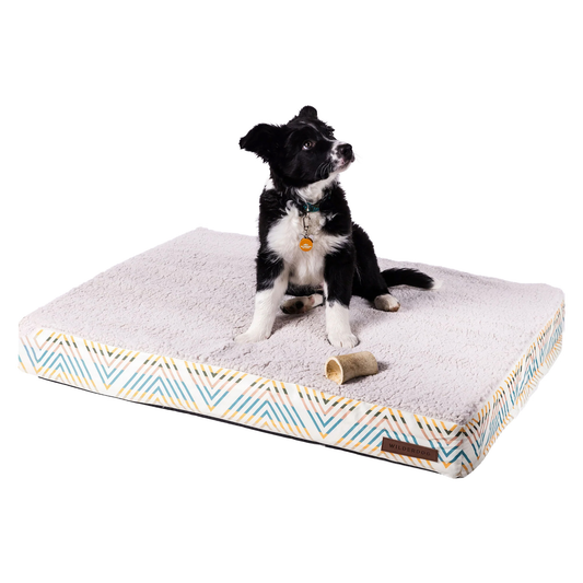 Memory Foam Dog Bed