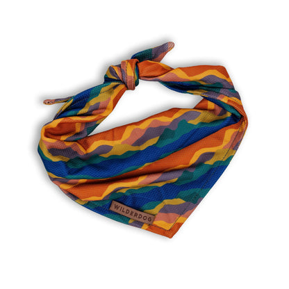 Cooling Bandana