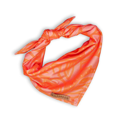 Cooling Bandana