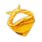 Cooling Bandana