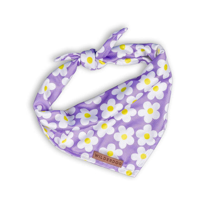 Cooling Bandana