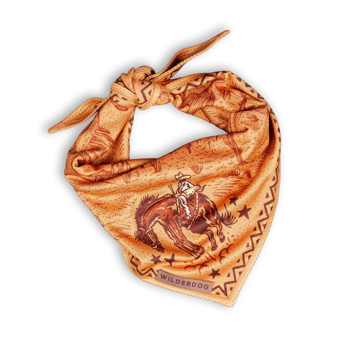 Cooling Bandana