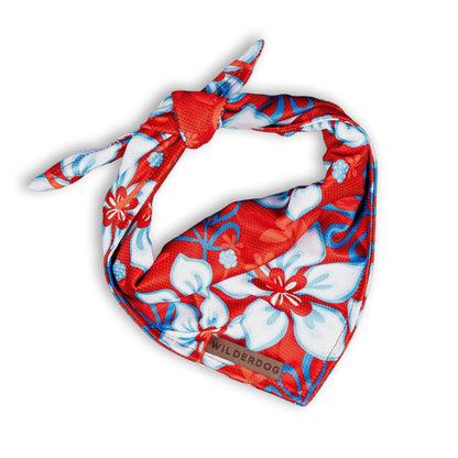 Cooling Bandana