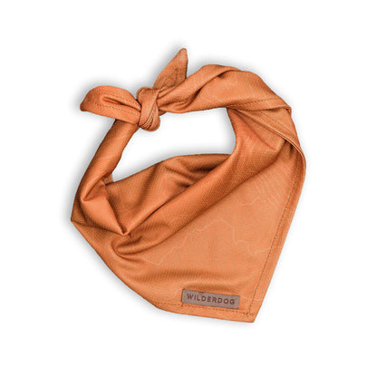 Cooling Bandana