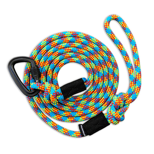 Big Carabiner Rope Leash