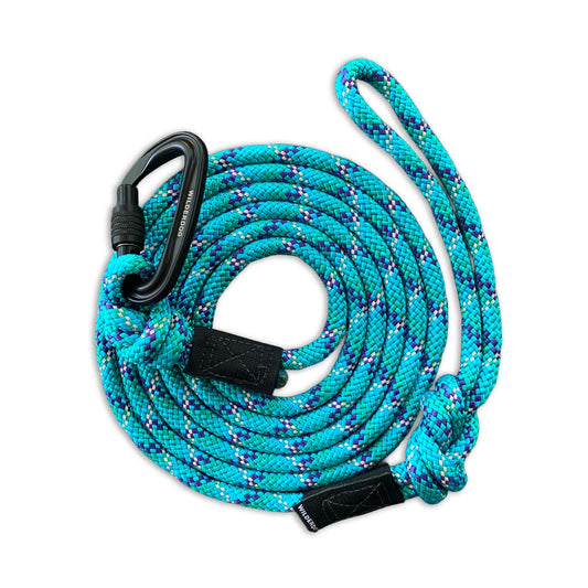 Reflective Big Carabiner Rope Leash