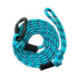 Reflective Big Carabiner Rope Leash