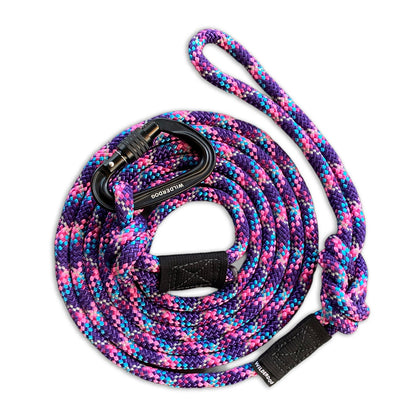 Reflective Big Carabiner Rope Leash