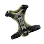 Dog Harness