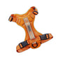Dog Harness