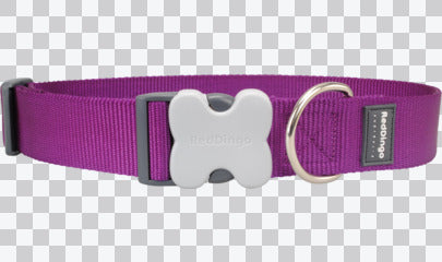 Buckle Bone Dog Collars - Classic (Solid)