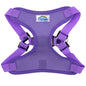 Paisley Purple