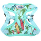 Surfboards and Palms