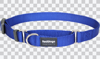 Martingale Dog Collars - Classic (Solid)