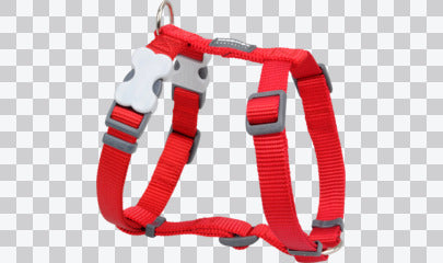 Dog Harness (H-Style) - Classic (Solid)
