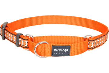 Martingale Dog Collars - Reflective