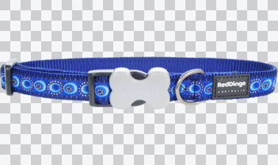 Buckle Bone Dog Collars - Design - Cosmos