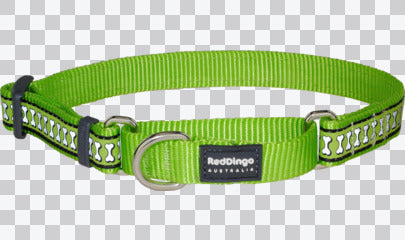 Martingale Dog Collars - Reflective