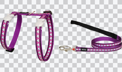 Cat Harness & Leads - Reflective